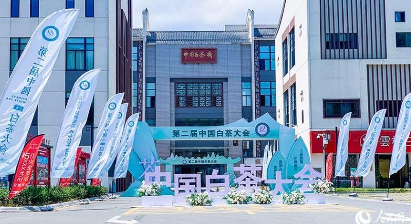 关于福建政和:茶产业跑出乡村振兴“加速度”的相关信息(5)