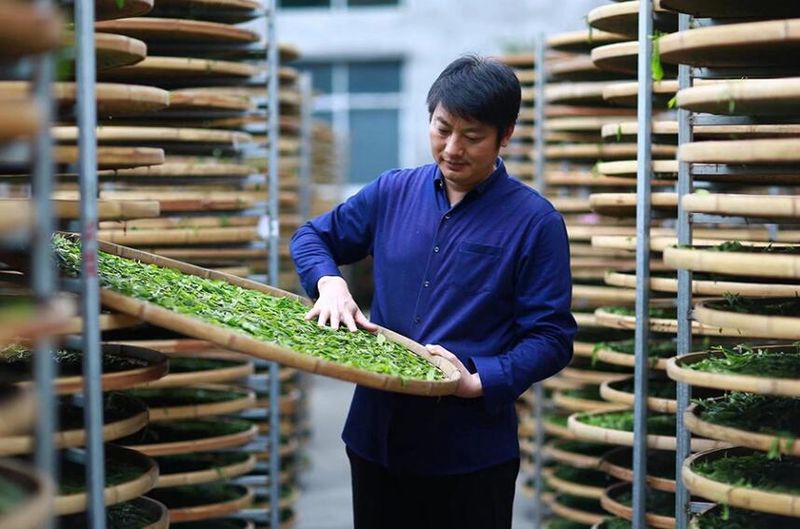 关于福建政和:茶产业跑出乡村振兴“加速度”的相关信息(1)