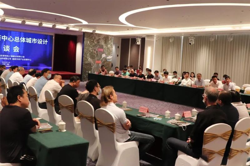 关于这场高规格座谈会，事关福鼎“世界白茶中心”总体城市设计的消息(2)