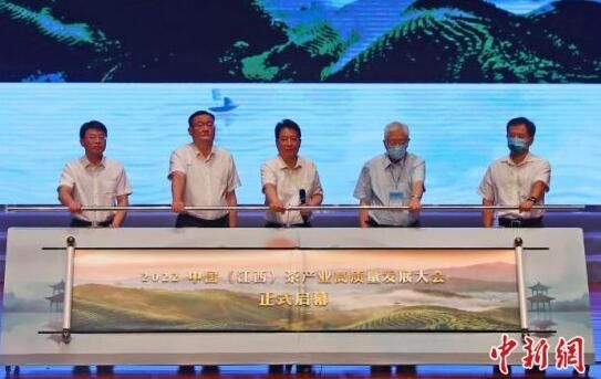 关于2022中国(江西)茶产业高质量发展大会开幕的资讯