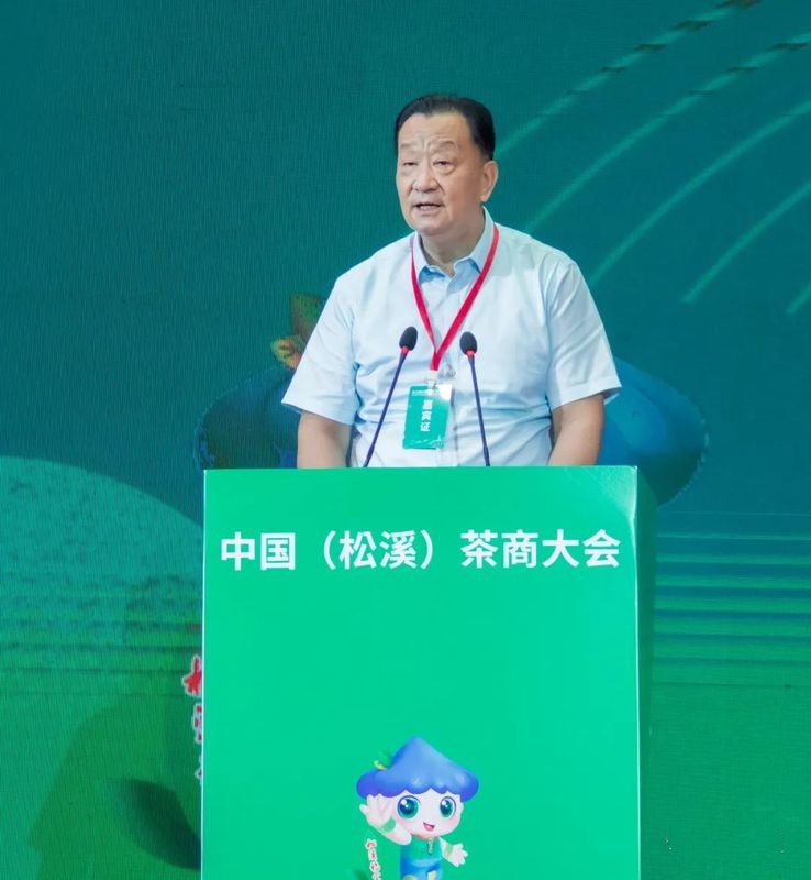 有关于松溪：举办第三届中国茶商大会 助力茶产业高质量发展的新闻(9)