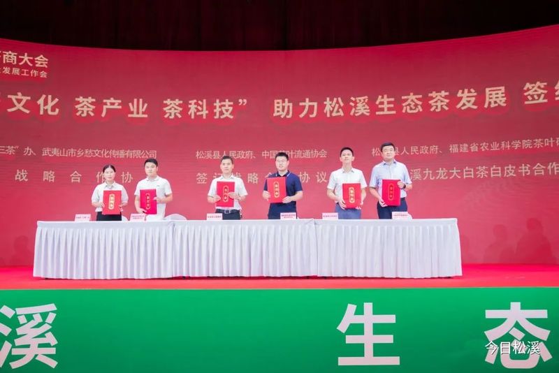 有关于松溪：举办第三届中国茶商大会 助力茶产业高质量发展的新闻(3)