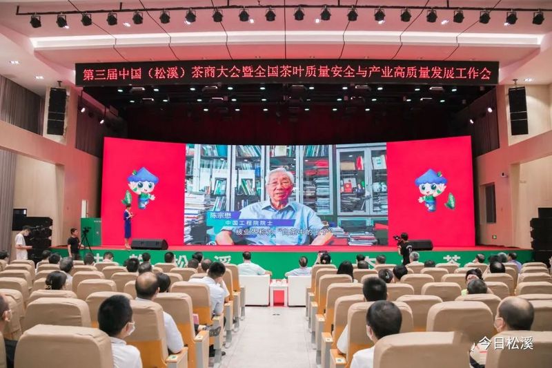有关于松溪：举办第三届中国茶商大会 助力茶产业高质量发展的新闻(7)