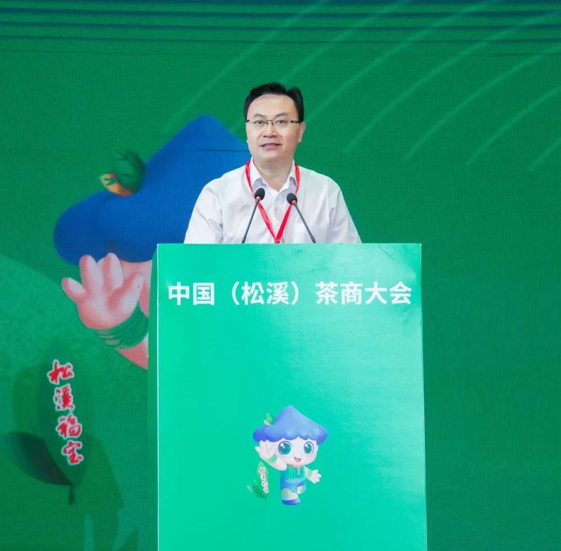 有关于松溪：举办第三届中国茶商大会 助力茶产业高质量发展的新闻(8)