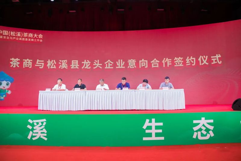 有关于松溪：举办第三届中国茶商大会 助力茶产业高质量发展的新闻(4)