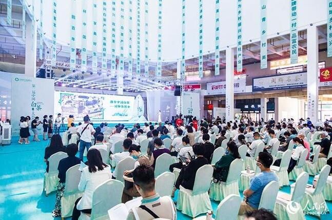 有关于第二届中国白茶大会在福建政和开幕 共绘白茶产业新蓝图的相关信息(4)