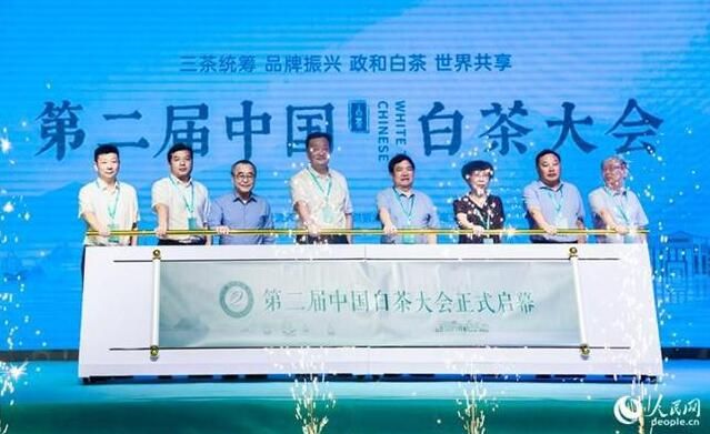 有关于第二届中国白茶大会在福建政和开幕 共绘白茶产业新蓝图的相关信息(1)