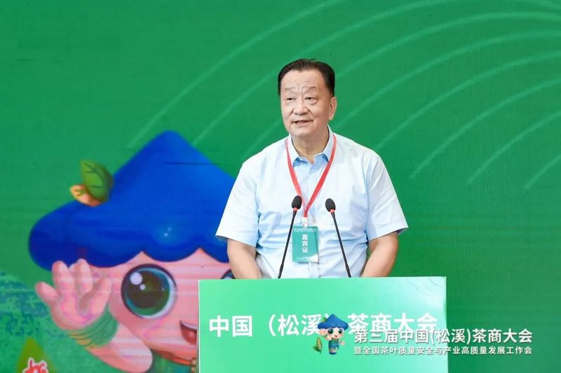 有关于看见小叶子的大力量!第三届中国(松溪)茶商大会举办的相关信息(3)