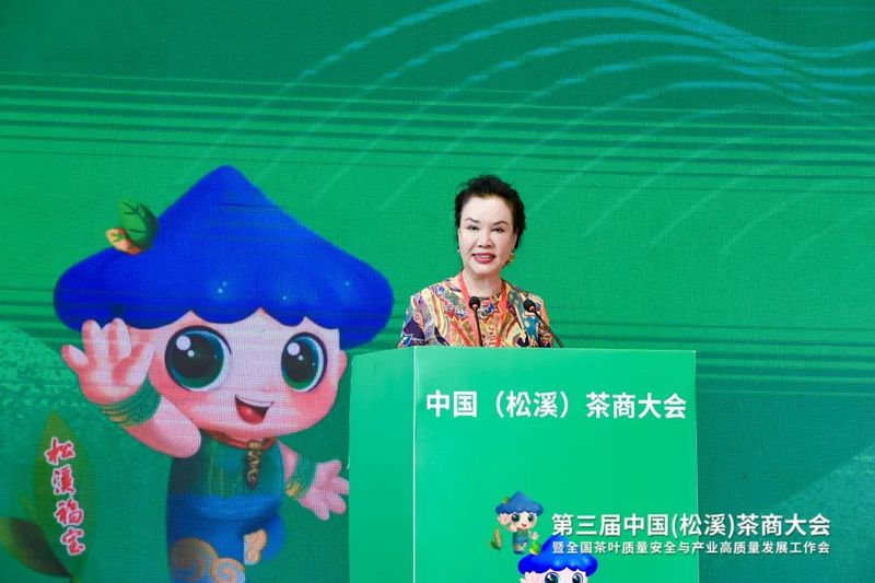 有关于看见小叶子的大力量！第三届中国（松溪）茶商大会举办的相关信息(16)