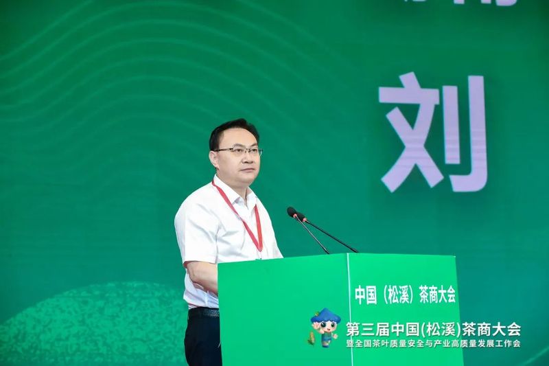 有关于看见小叶子的大力量！第三届中国（松溪）茶商大会举办的相关信息(8)
