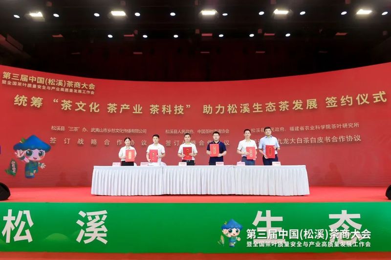 有关于看见小叶子的大力量！第三届中国（松溪）茶商大会举办的相关信息(12)