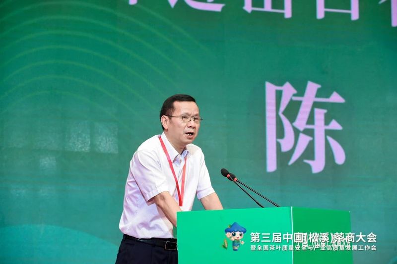 有关于看见小叶子的大力量！第三届中国（松溪）茶商大会举办的相关信息(14)