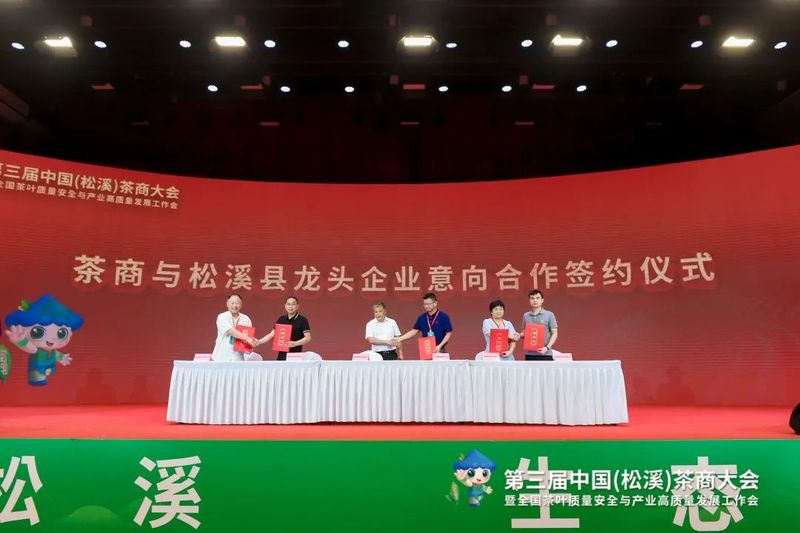 有关于看见小叶子的大力量！第三届中国（松溪）茶商大会举办的相关信息(13)