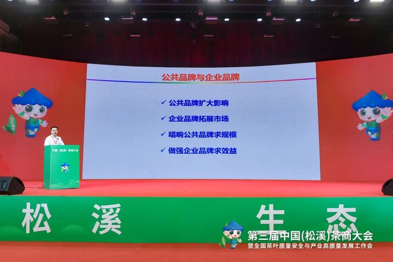 有关于看见小叶子的大力量！第三届中国（松溪）茶商大会举办的相关信息(19)