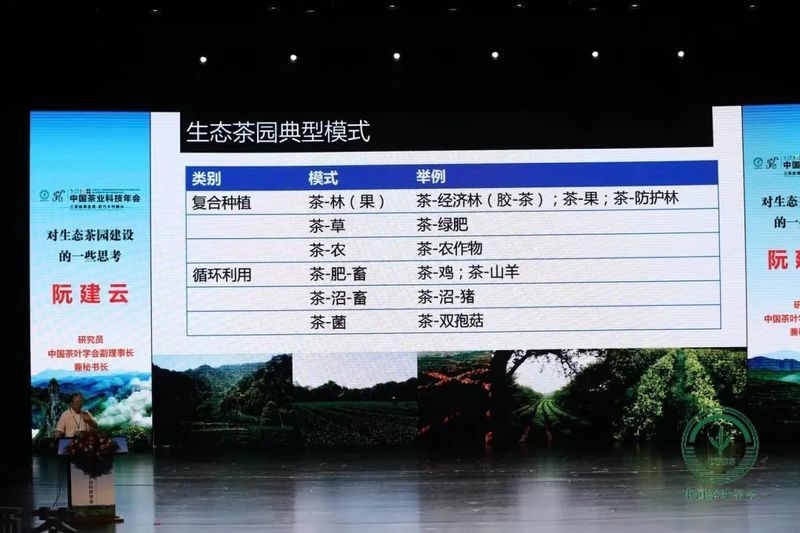 有关于“班盆村茶”“海南茶突围之策”“直播间买茶”“茶园生产管理”的消息