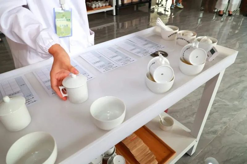 有关于“班盆村茶”“海南茶突围之策”“直播间买茶”“茶园生产管理”的消息(8)