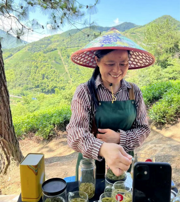 有关于“班盆村茶”“海南茶突围之策”“直播间买茶”“茶园生产管理”的消息(1)