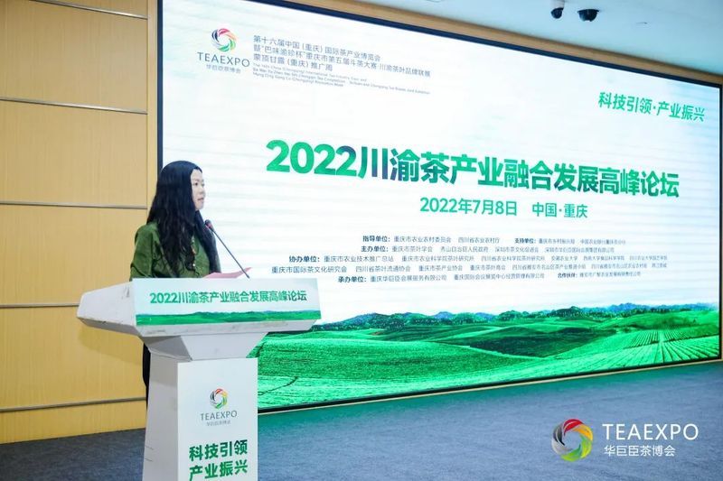 有关于“班盆村茶”“海南茶突围之策”“直播间买茶”“茶园生产管理”的消息(7)