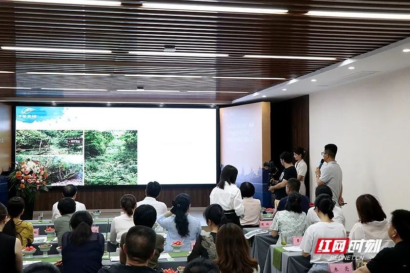 有关于从浮梁茶到景德镇，天下茶人是一家，湖南茶叶专家团共鉴江西浮梁茶的新闻(2)