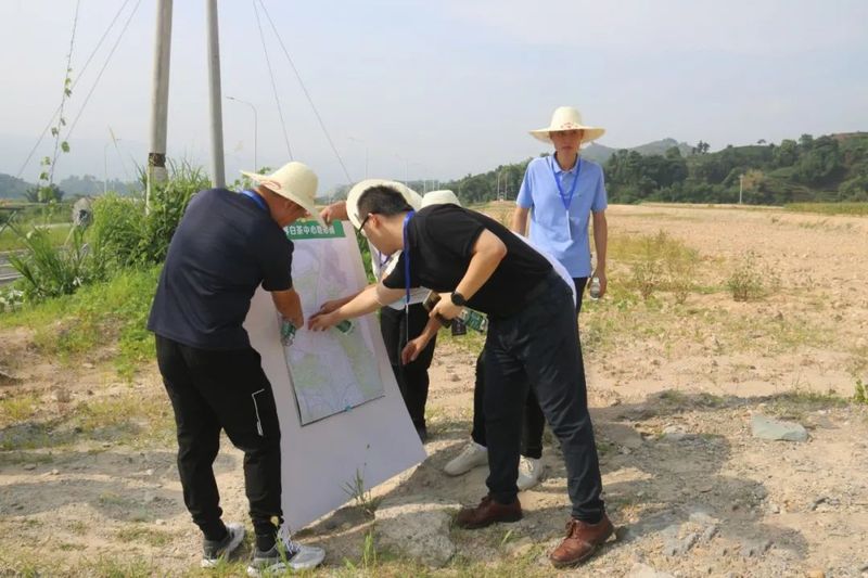 关于全球5个顶尖设计团队现场踏勘，福鼎“世界白茶中心”值得期待！的相关信息(2)