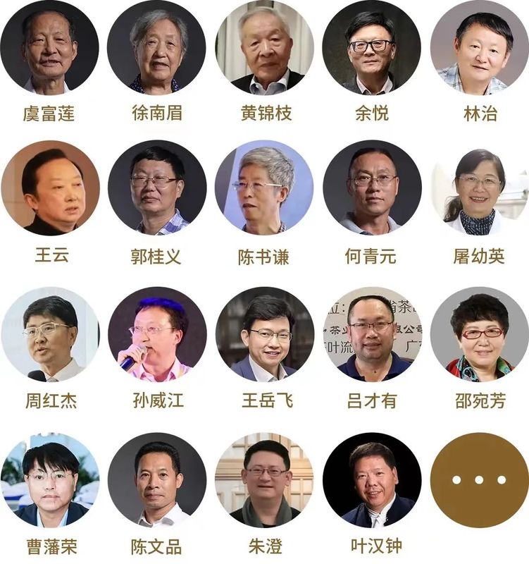 关于第十二届国际鼎承宋代武林斗茶大会震撼来袭！的新闻(6)