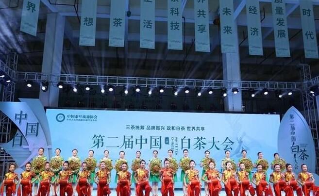 有关于第二届中国白茶大会在福建省政和县盛大开幕的内容