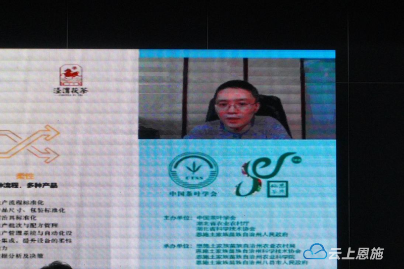 关于2021中国茶业科技年会 ，茶叶科技与产业分会场Ⅱ：茶叶加工与利用新技术的新闻(11)