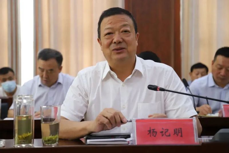 有关于镇巴县召开茶产业发展座谈会的最新消息(3)