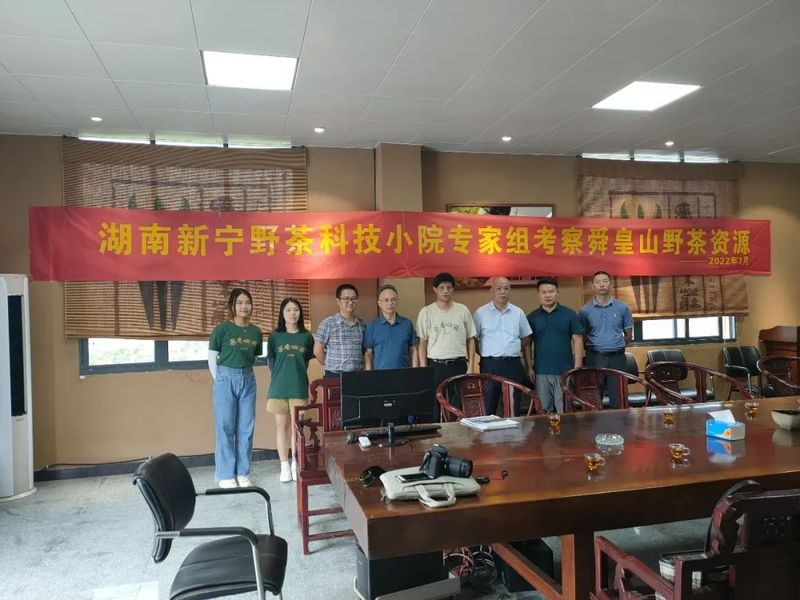 有关于新宁野茶科技小院专家组到舜皇山开展野生茶资源调研的内容(2)