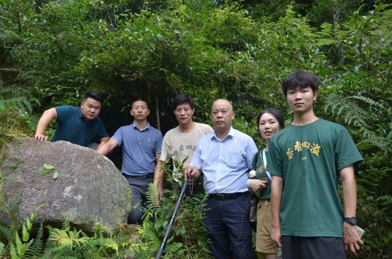 有关于新宁野茶科技小院专家组到舜皇山开展野生茶资源调研的内容(1)