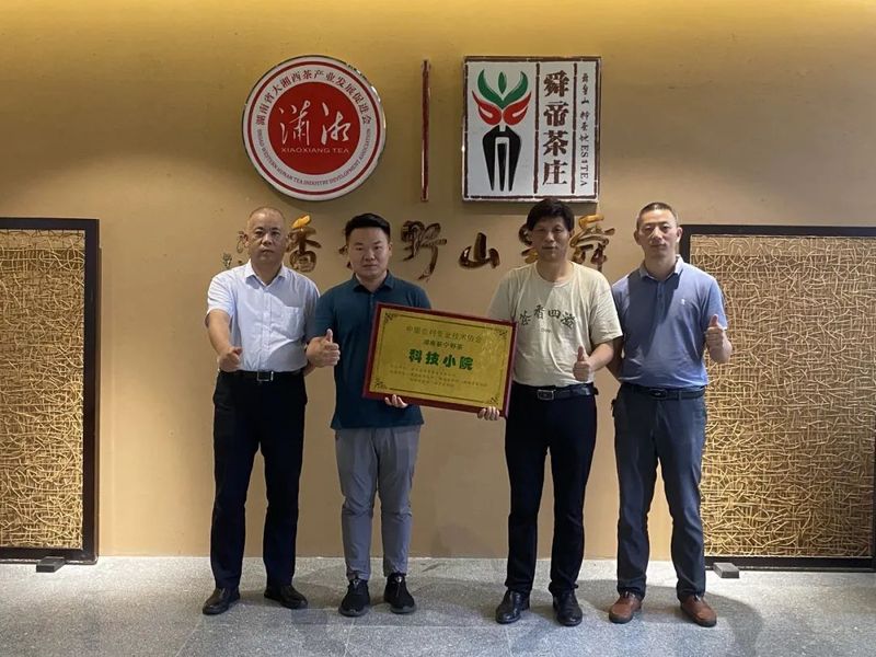 有关于新宁野茶科技小院专家组到舜皇山开展野生茶资源调研的内容(3)