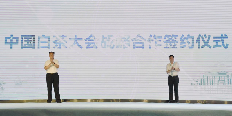 有关于践行“三茶”理念 做强政和白茶:2022白茶新品发布会在中国白茶城举行的内容(4)
