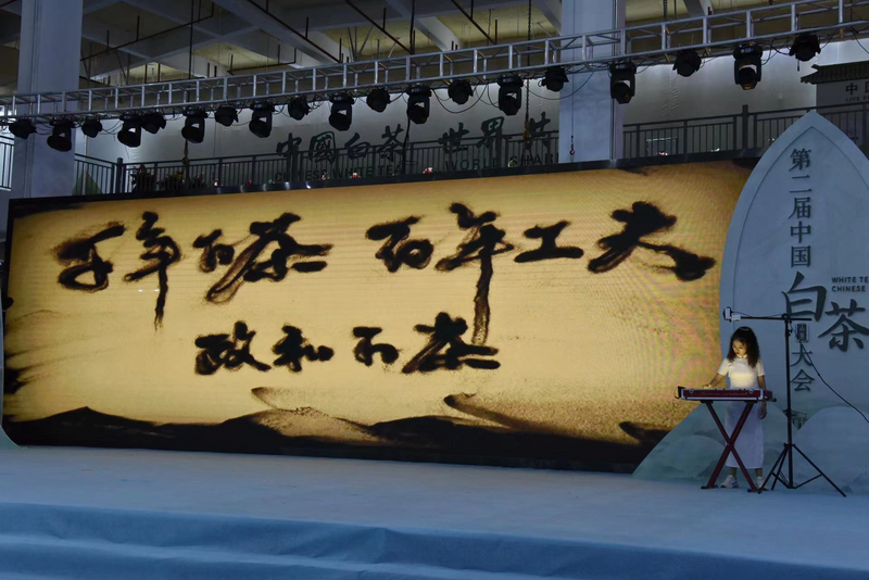 有关于践行“三茶”理念 做强政和白茶:2022白茶新品发布会在中国白茶城举行的内容(2)