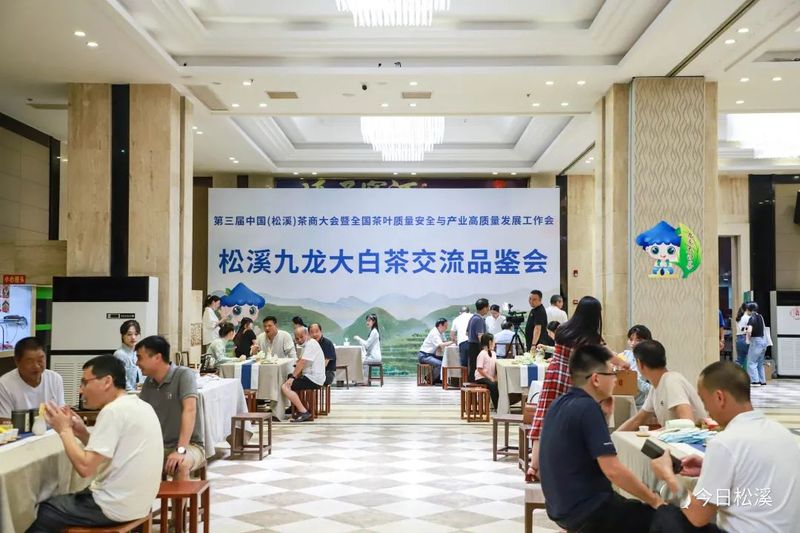 有关于松溪县举行九龙大白茶交流品鉴会的相关信息