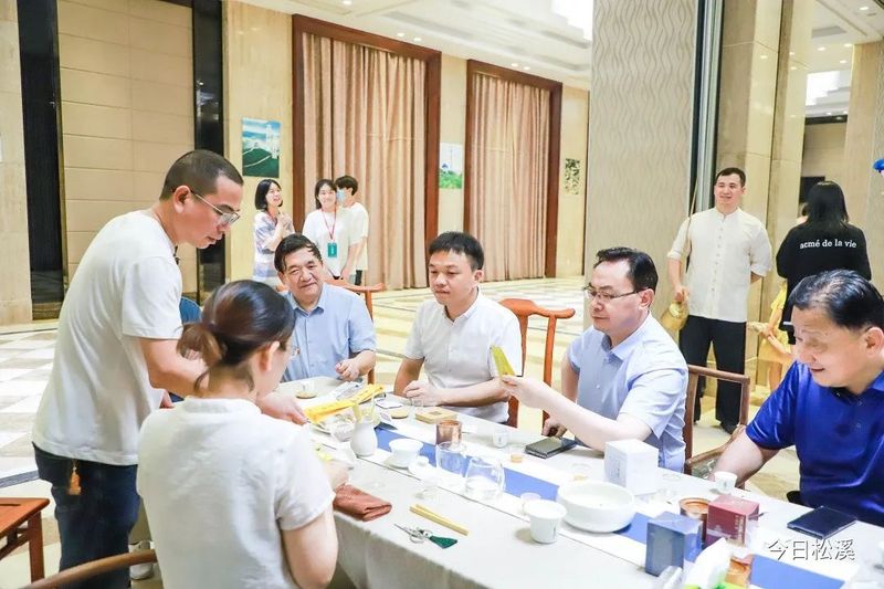 有关于松溪县举行九龙大白茶交流品鉴会的相关信息(1)