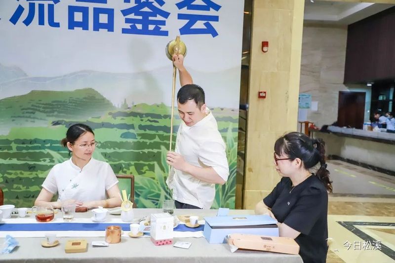 有关于松溪县举行九龙大白茶交流品鉴会的相关信息(2)