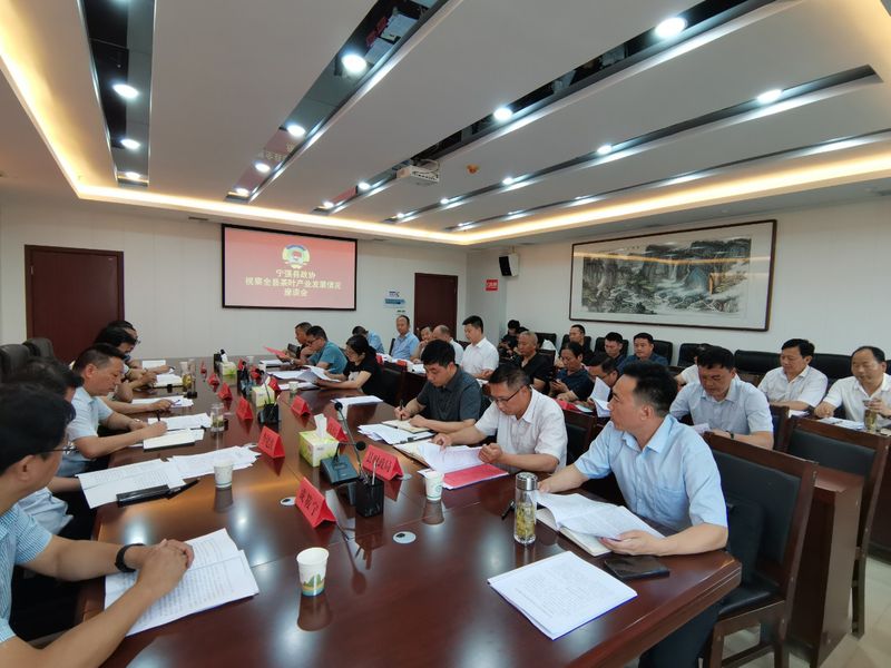 关于宁强县政协视察茶产业链建设情况的资讯
