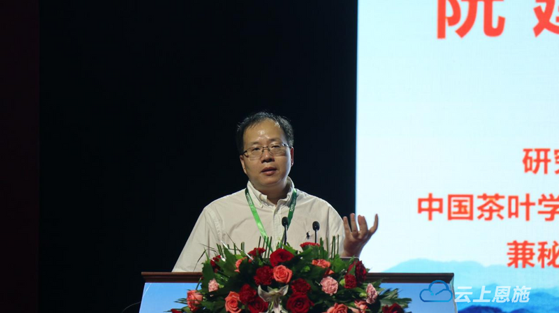 有关于2021中国茶业科技年会，茶叶科技与产业分会场Ⅰ：茶园生产管理新技术与展望的新闻(3)