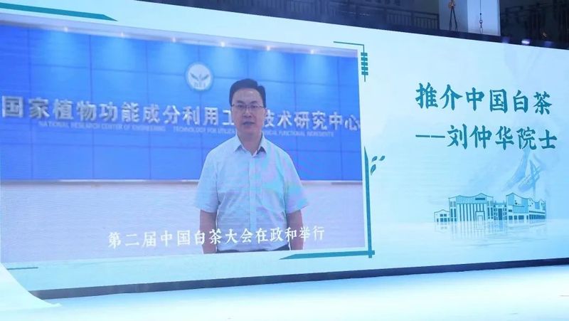 有关于中国白茶的盛会!的内容(5)