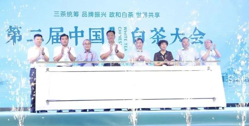 有关于中国白茶的盛会!的内容(6)