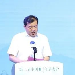 有关于中国白茶的盛会!的内容(3)