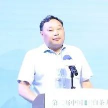 有关于中国白茶的盛会!的内容(2)
