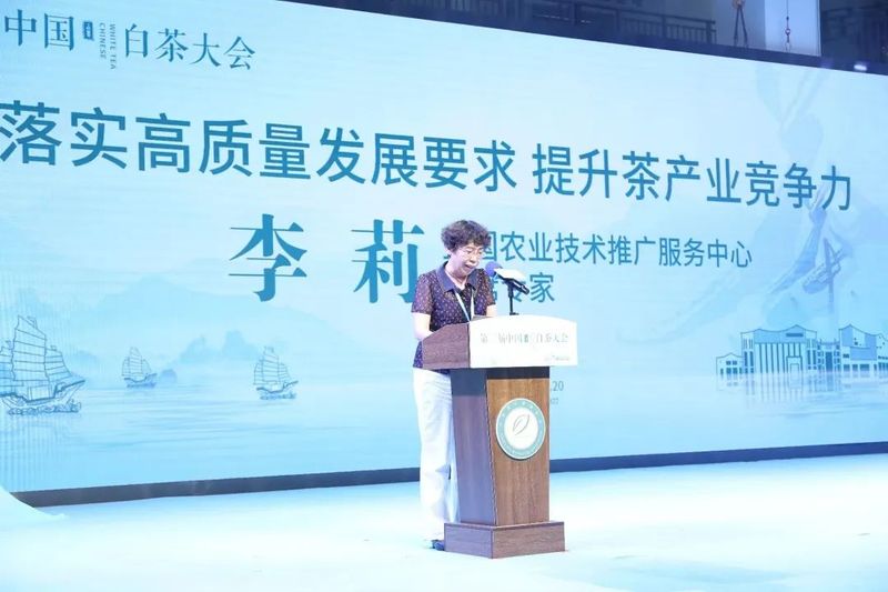 有关于中国白茶的盛会!的内容(8)