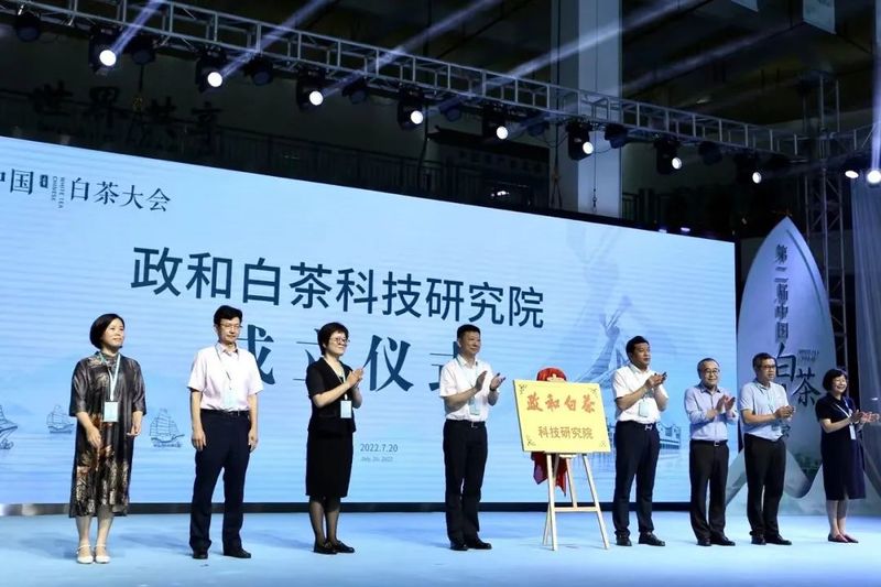 有关于中国白茶的盛会!的内容(10)
