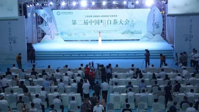 有关于中国白茶的盛会!的内容