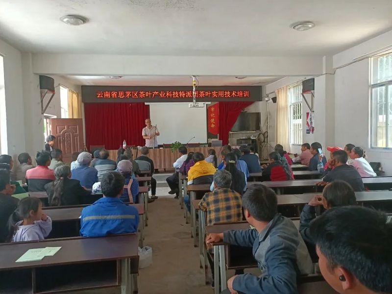 有关于倚象镇柏木河村：开展茶产业技术培训 加快有机茶转换步伐的内容