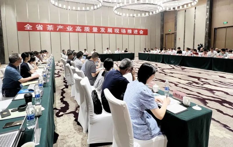 关于聚力“三茶”统筹 培育产业新优势！浙江省茶产业高质量发展推进会在新昌召开的最新消息(1)