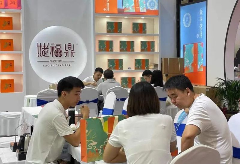关于福鼎白茶又一盛会！2022中原福鼎白茶文化节这次在郑州​！的相关信息(7)