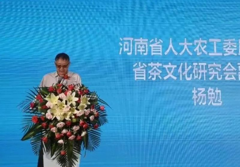 关于福鼎白茶又一盛会！2022中原福鼎白茶文化节这次在郑州​！的相关信息(2)
