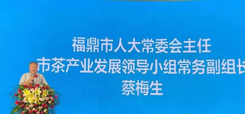 关于福鼎白茶又一盛会！2022中原福鼎白茶文化节这次在郑州​！的相关信息(3)